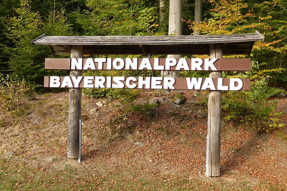 Authentischer Reisemoment in Bayerischen Wald – passend zu Premium Busreise Bayerischer Wald – Reiseguide