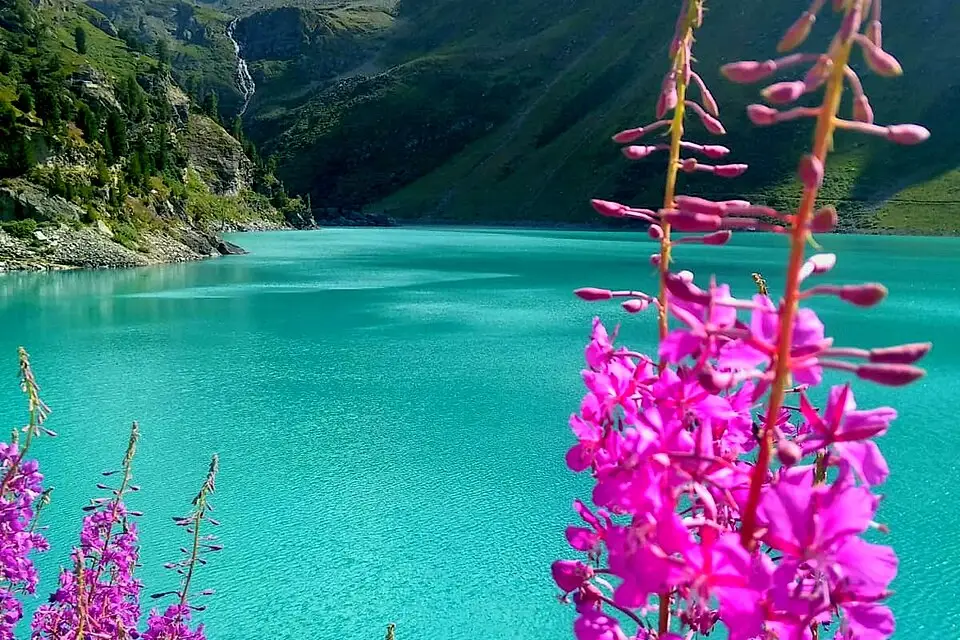 Authentischer Reisemoment in Wallis – passend zu Gruppenreise Wallis mit dem Bus – Reisecheck