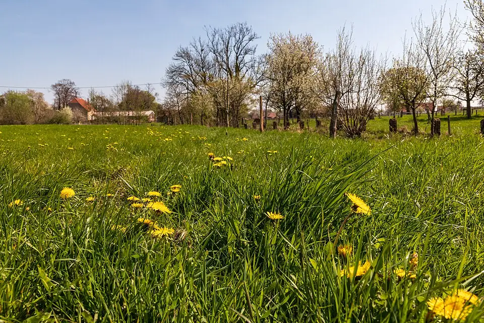 Stimmungsvolle Reiseansicht aus Rhein für Standortreise Romantischer Rhein mit dem Bus – Route & Leistungen