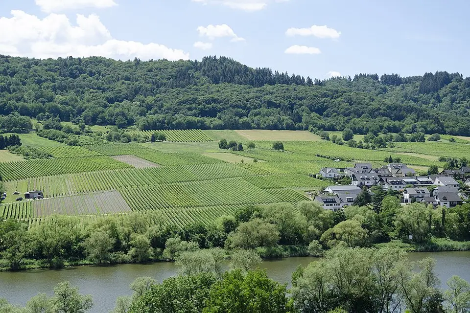 Stimmungsvolle Reiseansicht aus Mosel für Busreise Mosel für Alleinreisende – Route & Leistungen