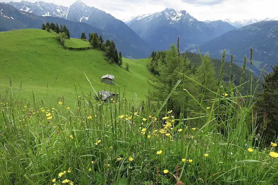 Authentischer Reisemoment in Zillertal – passend zu Beste Reisezeit für eine Busreise Zillertal – Reisecheck