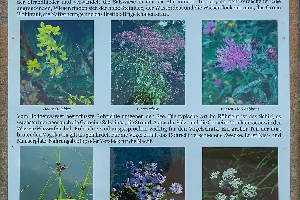 Landschaft und Sehenswürdigkeiten in Mecklenburgischen Seenplatte für Mecklenburgische Seenplatte – Reisezeit-Ratgeber