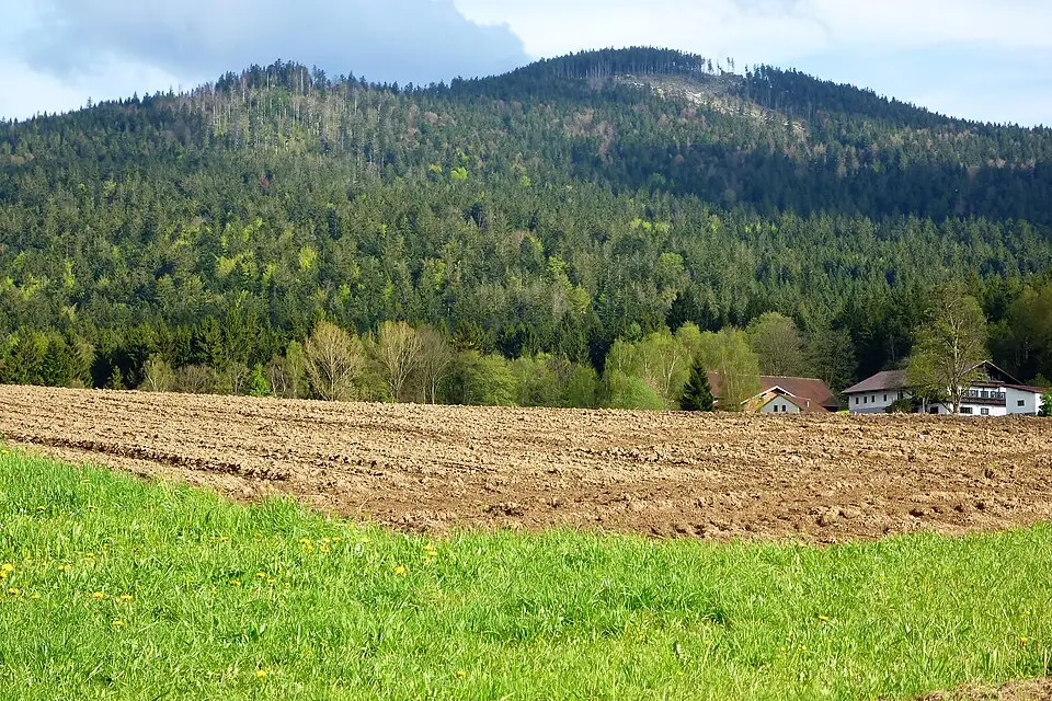 Stimmungsvolle Reiseansicht aus Bayerischen Wald für Günstige Busreise Bayerischer Wald – Dauer & Komfort