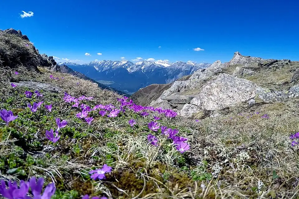 Authentischer Reisemoment in Tirol – passend zu Busreise Tirol ab Frankfurt – Reiseguide
