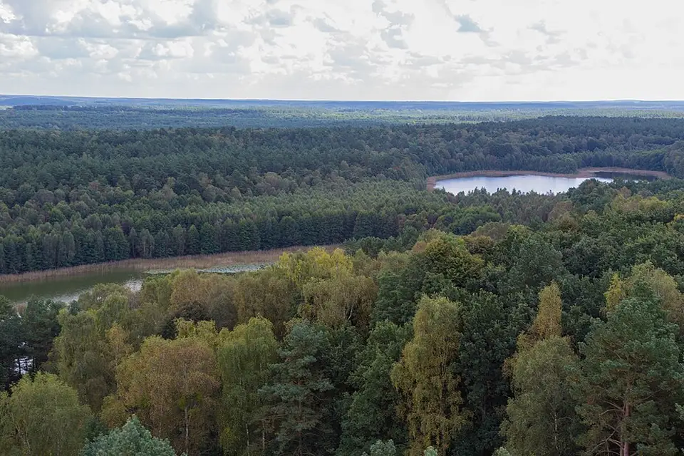 Stimmungsvolle Reiseansicht aus Mecklenburgischen Seenplatte für Mecklenburgische Seenplatte – Busreise mit Wahlprogramm