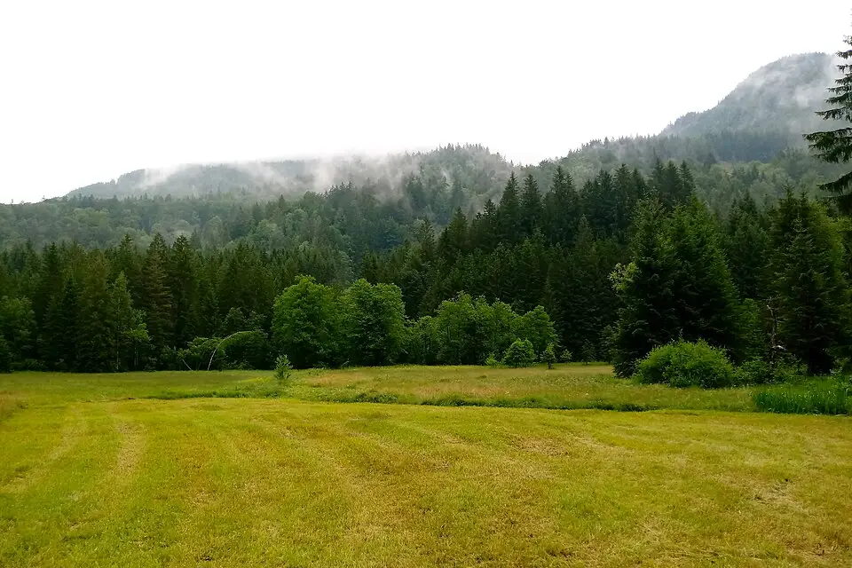 Authentischer Reisemoment in Salzkammergut – passend zu Kulturreise Salzkammergut mit dem Bus – Reisecheck