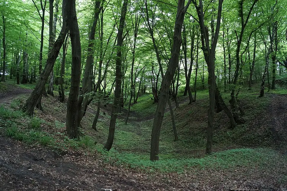 Stimmungsvolle Reiseansicht aus Krakau für Naturreise Krakau mit dem Bus – Reisecheck