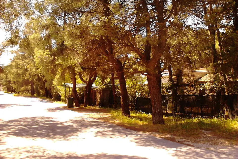 Authentischer Reisemoment in Athen – passend zu Busreise Athen 7 Tage – Reiseguide