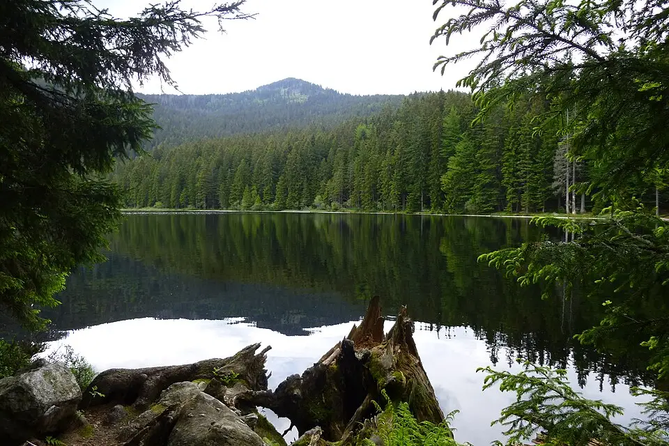 Authentischer Reisemoment in Bayerischen Wald – passend zu Bayerischer Wald – Seniorenreise mit Abholservice