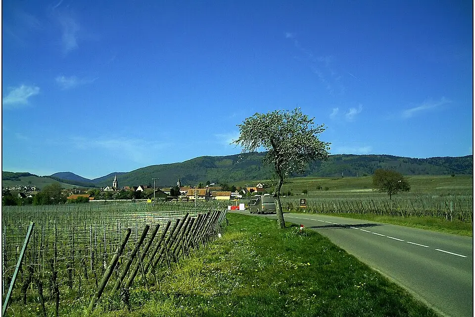 Authentischer Reisemoment in Elsass – passend zu Barrierearme Busreise Elsass – Reiseguide
