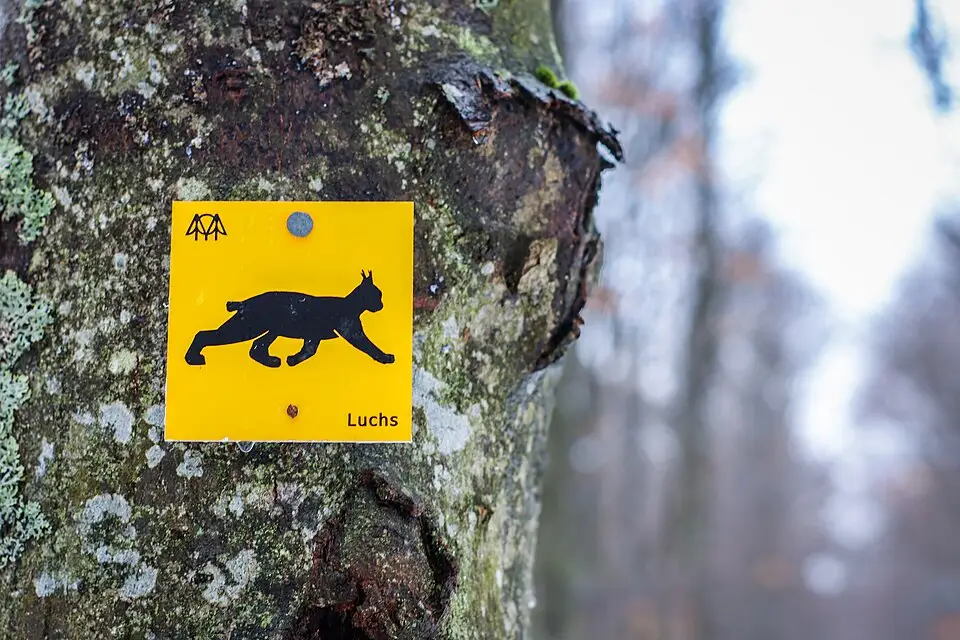 Authentischer Reisemoment in Bayerischen Wald – passend zu Panoramareise Bayerischer Wald mit dem Bus – Dauer & Komfort