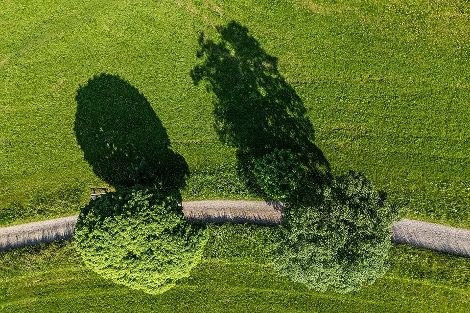 Landschaft und Sehenswürdigkeiten in Schwarzwald für Busreise Schwarzwald ohne Nachtfahrt – Reisecheck