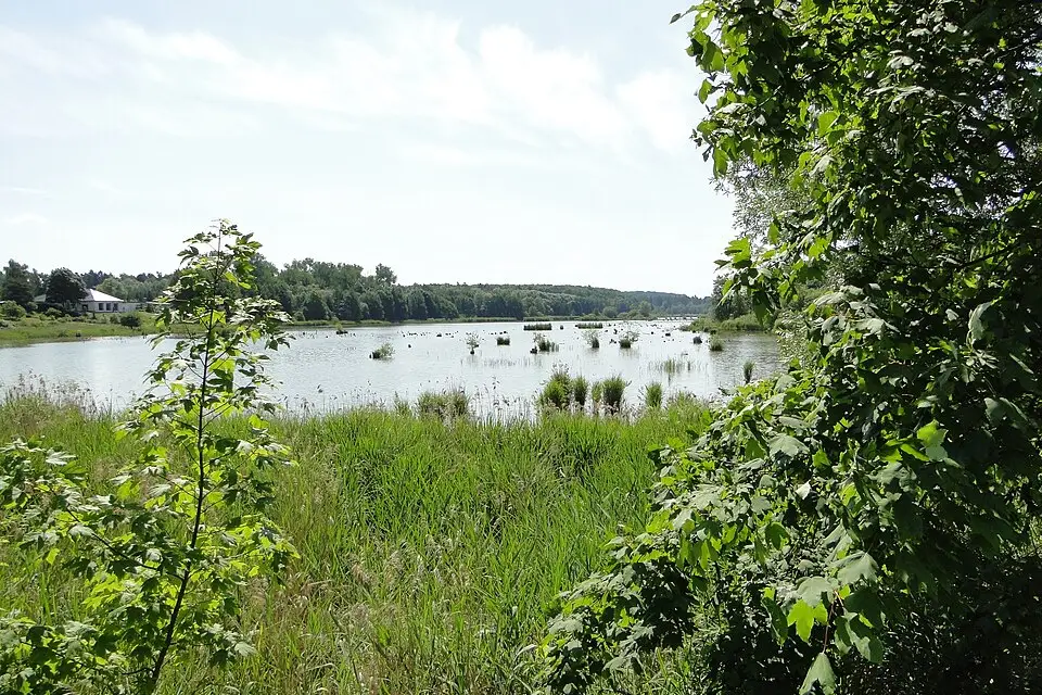 Landschaft und Sehenswürdigkeiten in Mecklenburgischen Seenplatte für Busreise Mecklenburgische Seenplatte ab Berlin – Dauer & Komfort