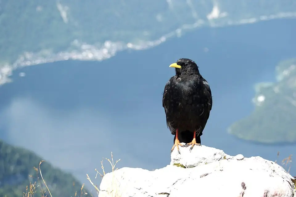 Stimmungsvolle Reiseansicht aus Salzkammergut für Busreise Salzkammergut ab Berlin – Route & Leistungen