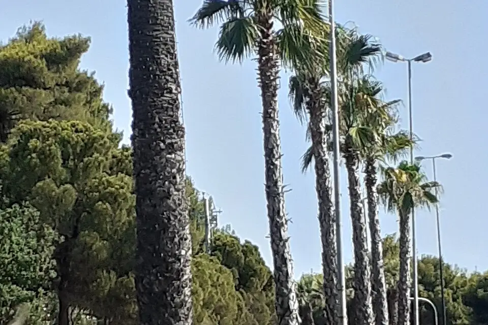Landschaft und Sehenswürdigkeiten in Athen für Busreise Athen im Sommer – Reisecheck