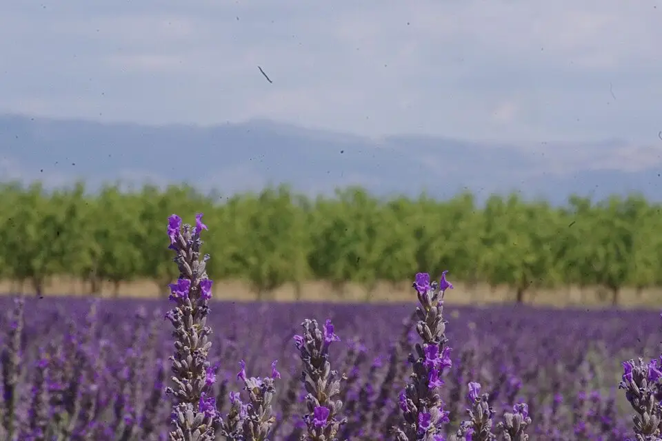 Landschaft und Sehenswürdigkeiten in Provence für Wellnessreise Provence mit dem Bus – Reiseguide
