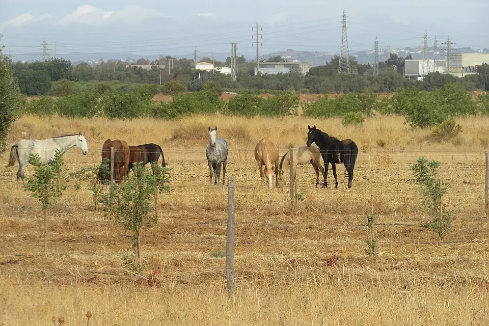 Landschaft und Sehenswürdigkeiten in Algarve für Weihnachtsreise Algarve mit dem Bus – ehrlich eingeordnet