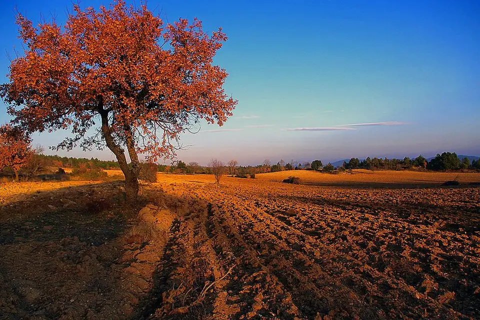 Landschaft und Sehenswürdigkeiten in Provence für Kulturreise Provence mit dem Bus – Dauer & Komfort