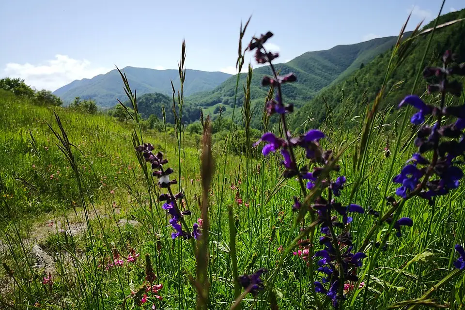 Stimmungsvolle Reiseansicht aus Emilia Romagna für Singlereise Emilia-Romagna mit dem Bus – Route & Leistungen