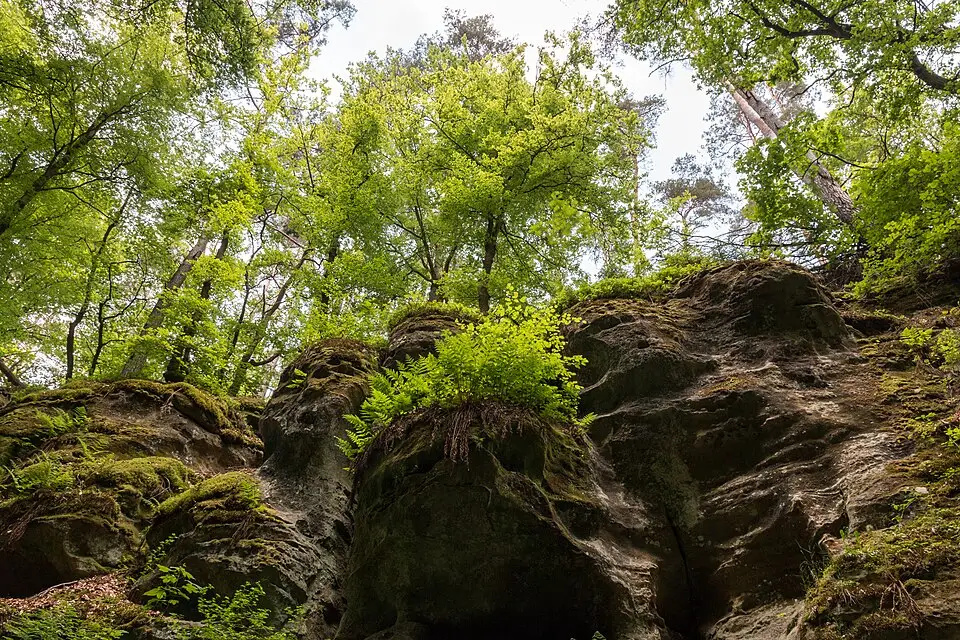 Authentischer Reisemoment in Luxemburg – passend zu Beste Reisezeit für eine Busreise Luxemburg – Route & Leistungen