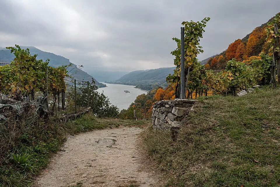 Stimmungsvolle Reiseansicht aus Wachau für Busreise Wachau mit Halbpension – Reiseguide