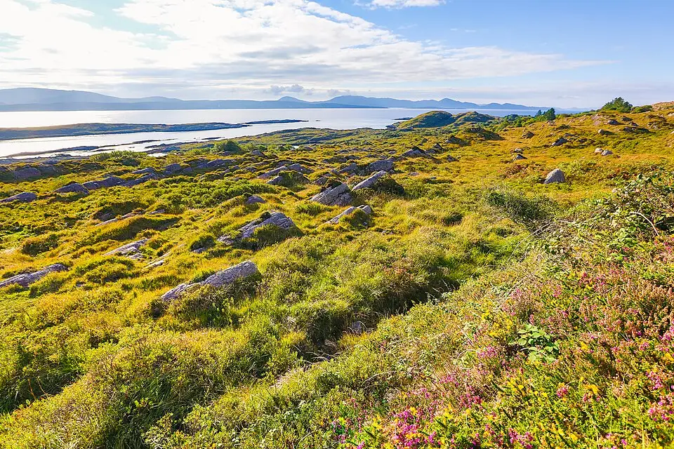 Landschaft und Sehenswürdigkeiten in Irland für Kurzreise Irland mit dem Bus – ehrlich eingeordnet