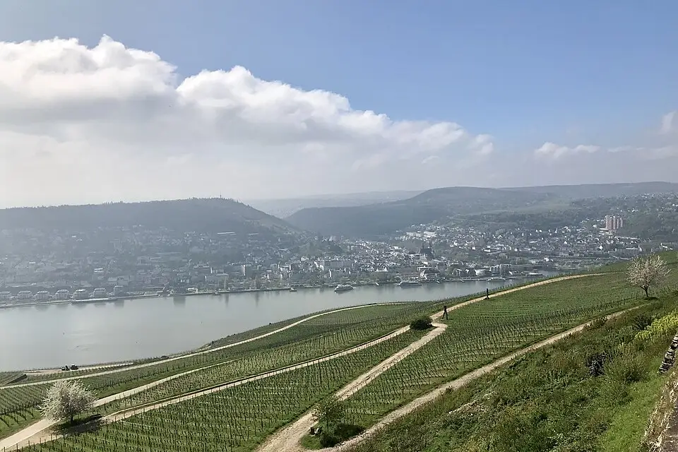 Authentischer Reisemoment in Rhein – passend zu Busreise Romantischer Rhein Angebote vergleichen – Reisecheck