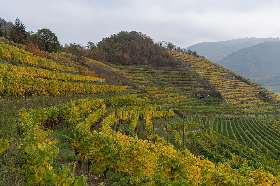 Authentischer Reisemoment in Wachau – passend zu Busreise Wachau im Herbst – ehrlich eingeordnet