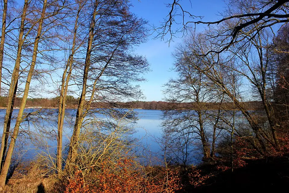 Stimmungsvolle Reiseansicht aus Mecklenburgischen Seenplatte für Barrierearme Busreise Mecklenburgische Seenplatte – Reiseguide