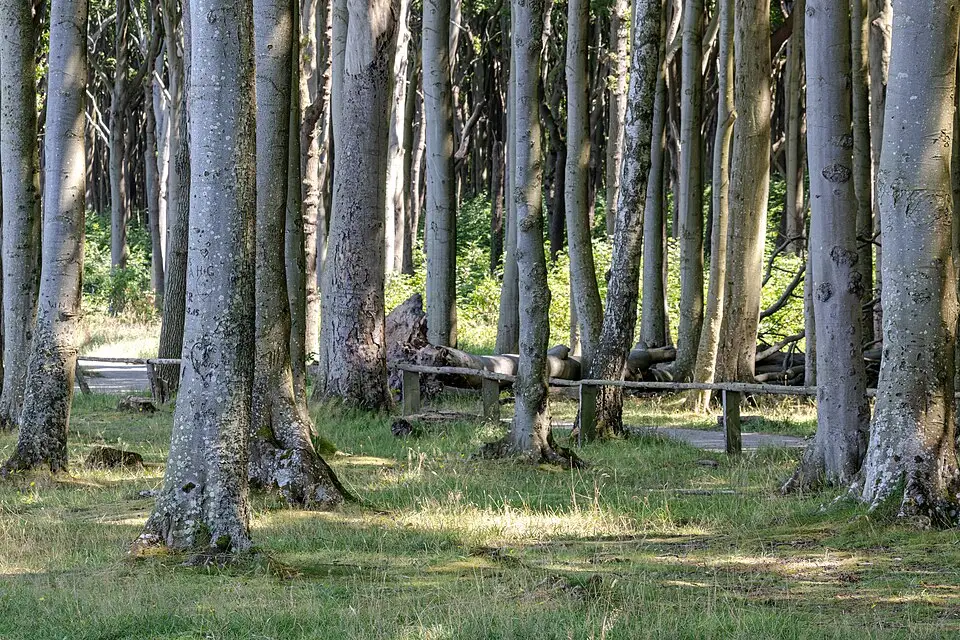 Landschaft und Sehenswürdigkeiten in Ostsee für Beste Reisezeit für eine Busreise Ostsee – Reisecheck