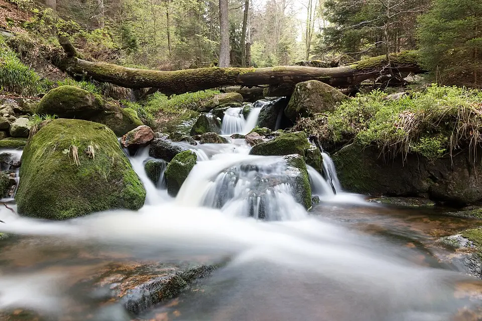 Landschaft und Sehenswürdigkeiten in Harz für Busreise Harz im Frühling – Reiseguide