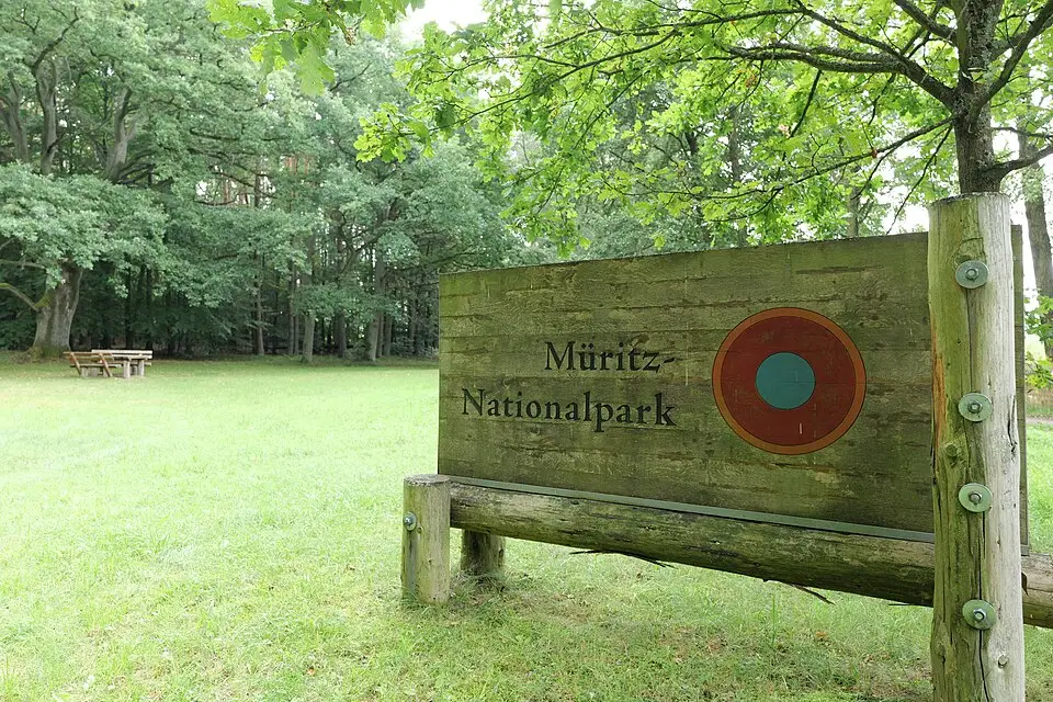 Authentischer Reisemoment in Mecklenburgischen Seenplatte – passend zu Mecklenburgische Seenplatte – Weihnachts-Busreise