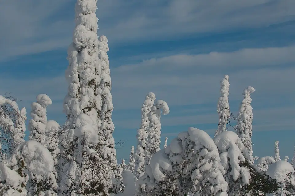 Landschaft und Sehenswürdigkeiten in Finnland für Busreise Finnland für Paare – Tipps zur Auswahl