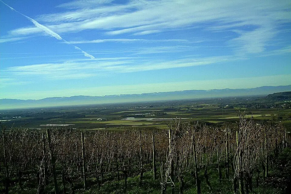 Authentischer Reisemoment in Elsass – passend zu Naturreise Elsass mit dem Bus – Reisecheck