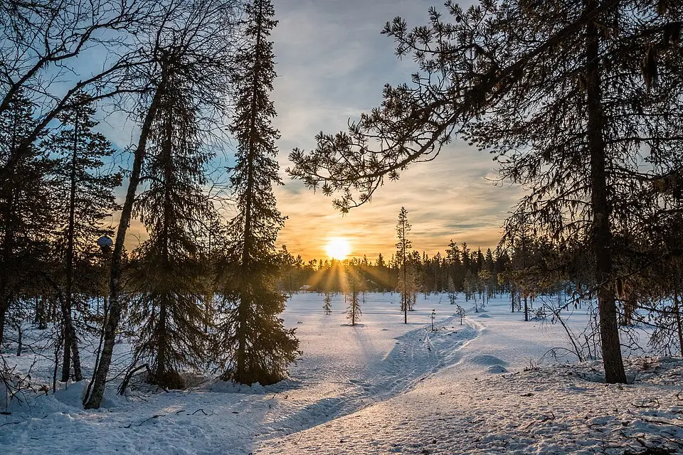 Stimmungsvolle Reiseansicht aus Finnland für Panoramareise Finnland mit dem Bus – Reiseguide