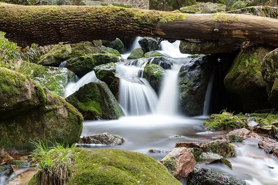 Authentischer Reisemoment in Harz – passend zu Busreise Harz ab Frankfurt – Reiseguide