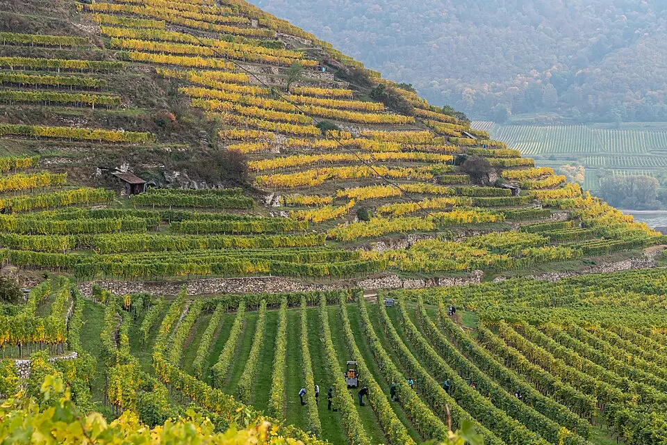 Authentischer Reisemoment in Wachau – passend zu Busreise Wachau ab München – ehrlich eingeordnet