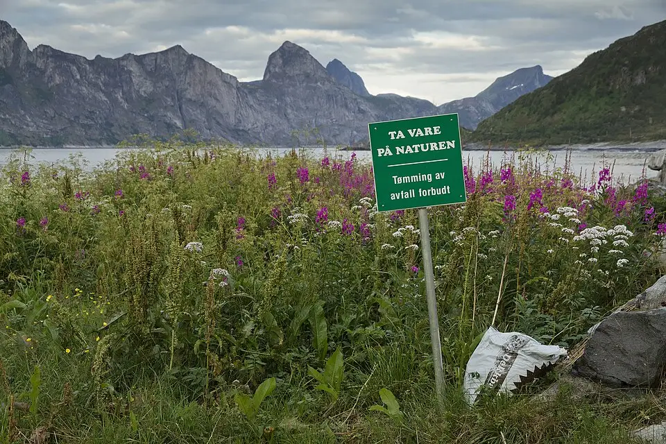 Landschaft und Sehenswürdigkeiten in Norwegische Fjorde für Kulturreise Norwegische Fjorde mit dem Bus – Reisecheck