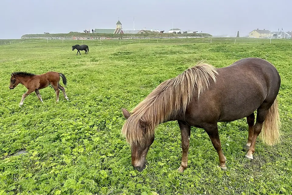 Stimmungsvolle Reiseansicht aus Nordkap für Singlereise Nordkap mit dem Bus – Reiseguide