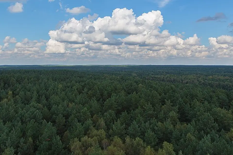 Landschaft und Sehenswürdigkeiten in Mecklenburgischen Seenplatte für Mecklenburgische Seenplatte – Busreise mit Wahlprogramm