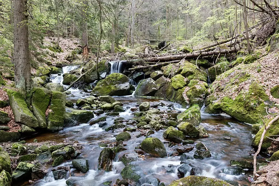 Authentischer Reisemoment in Harz – passend zu Gruppenreise Harz mit dem Bus – Reisecheck