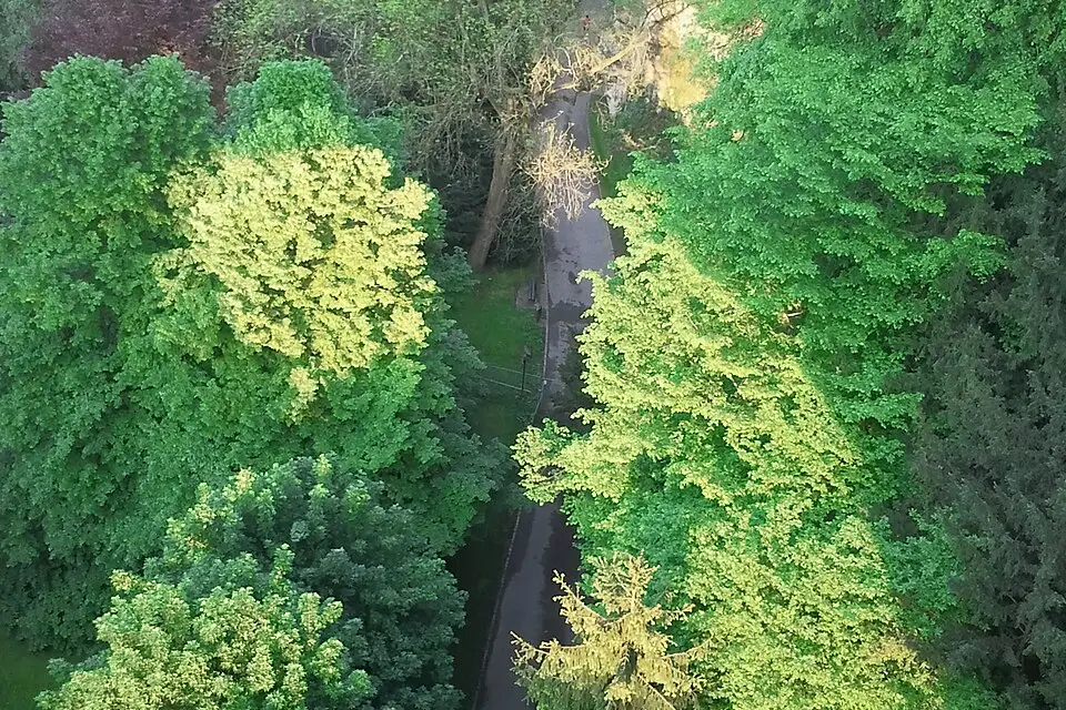 Authentischer Reisemoment in Luxemburg – passend zu Busreise Luxemburg für Senioren – Route & Leistungen