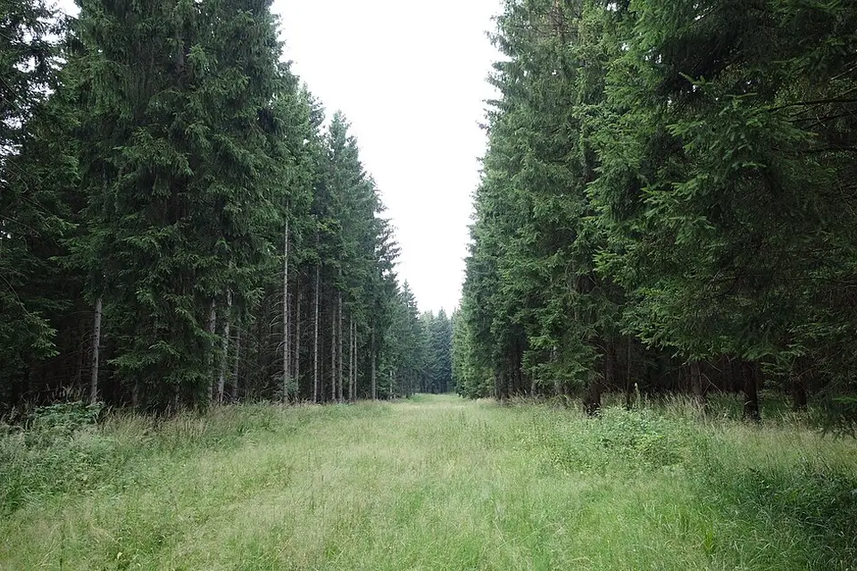 Authentischer Reisemoment in Harz – passend zu Busreise Harz ab Berlin – Tipps zur Auswahl