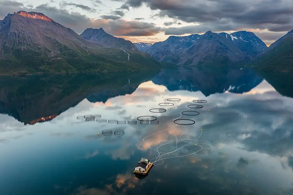 Landschaft und Sehenswürdigkeiten in Norwegische Fjorde für Busreise Norwegische Fjorde ab Stuttgart – ehrlich eingeordnet