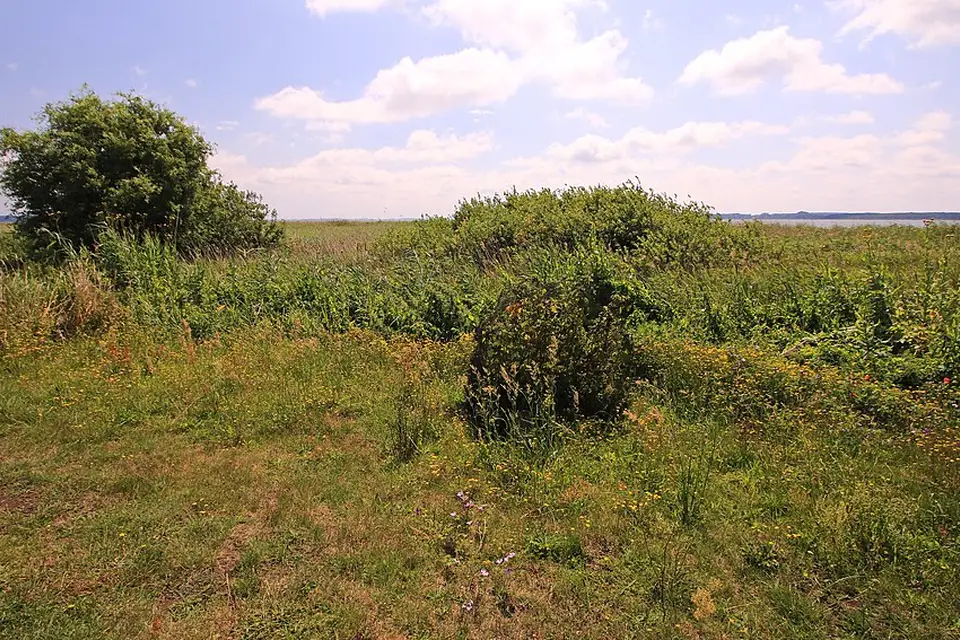 Authentischer Reisemoment in Usedom – passend zu Gruppenreise Usedom mit dem Bus – Route & Leistungen