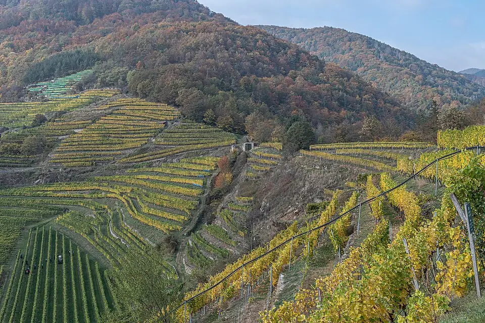 Landschaft und Sehenswürdigkeiten in Wachau für Busreise Wachau im Herbst – ehrlich eingeordnet