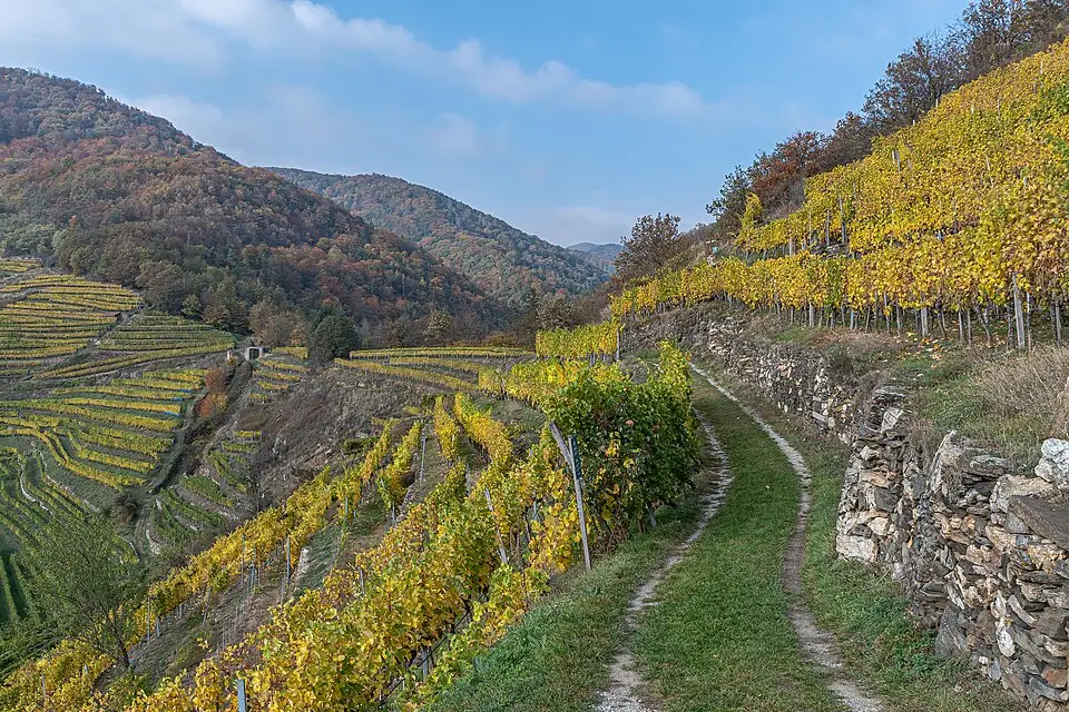 Stimmungsvolle Reiseansicht aus Wachau für Busreise Wachau im Herbst – ehrlich eingeordnet