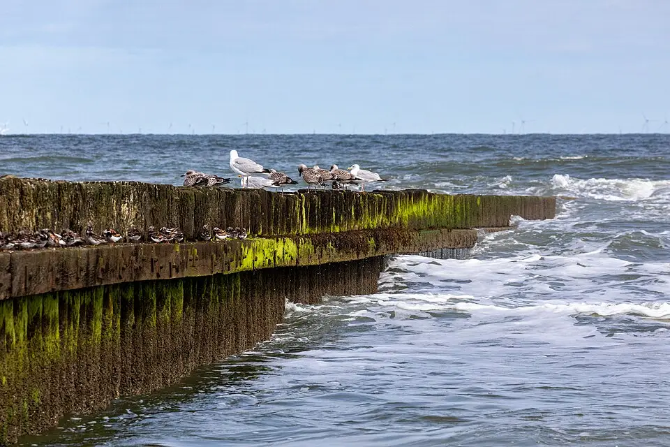 Stimmungsvolle Reiseansicht aus Nordsee für Kulturreise Nordsee mit dem Bus – Tipps zur Auswahl