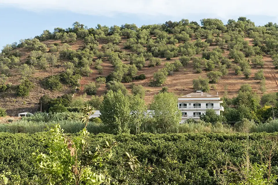 Stimmungsvolle Reiseansicht aus Algarve für Kulturreise Algarve mit dem Bus – Tipps zur Auswahl