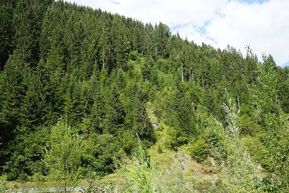 Authentischer Reisemoment in Tirol – passend zu Busreise Tirol für Familien – Tipps zur Auswahl